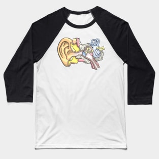 Human Inner Ear Anatomy Illustration Baseball T-Shirt
